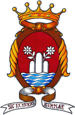 sassuolo.gif (3015 byte)